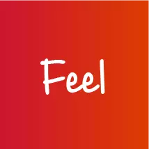 feel